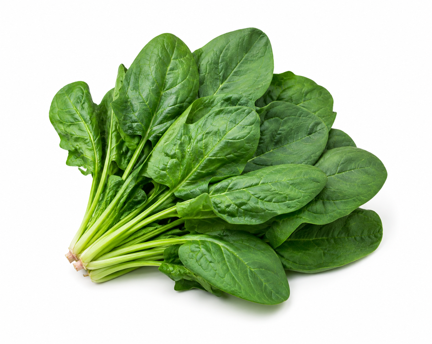 Espinaca