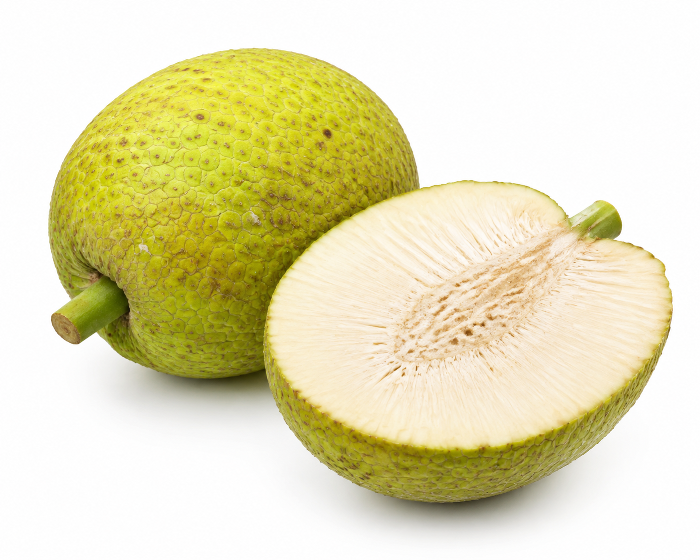 Fruta de Pan