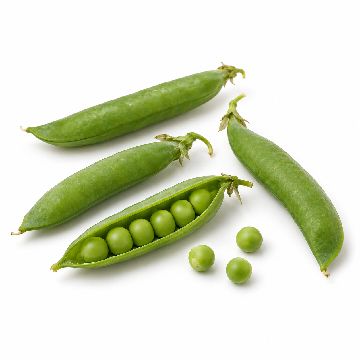 Arveja